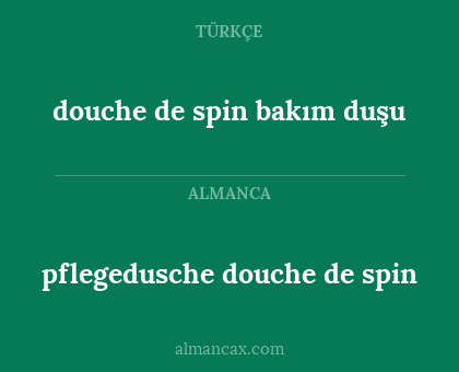 douche de spin bakım duşu - pflegedusche douche de spin