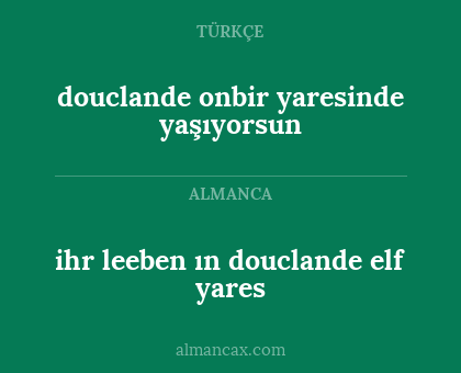 douclande onbir yaresinde yaşıyorsun - ihr leeben ın douclande elf yares