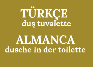 du%C5%9F+tuvalette-dusche+in+der+toilette.png