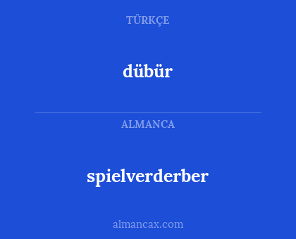 dübür - spielverderber