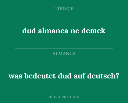 was bedeutet dud auf deutsch? - dud almanca ne demek