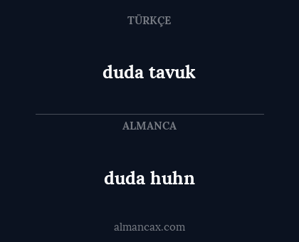 duda huhn - duda tavuk