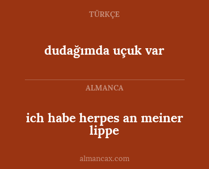 dudağımda uçuk var - ich habe herpes an meiner lippe
