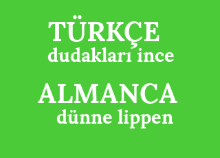 dudaklar%C4%B1+ince-d%C3%BCnne+lippen.png