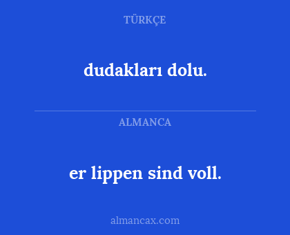 er lippen sind voll. - dudakları dolu.
