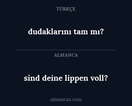 dudaklarını tam mı? - sind deine lippen voll?