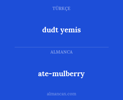 dudt yemis - ate-mulberry