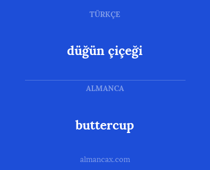 düğün çiçeği - buttercup