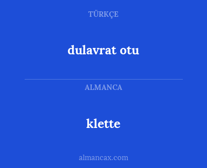 klette - dulavrat otu