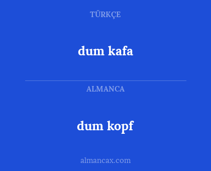 dum kopf - dum kafa