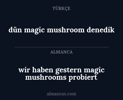 wir haben gestern magic mushrooms probiert - dün magic mushroom denedik