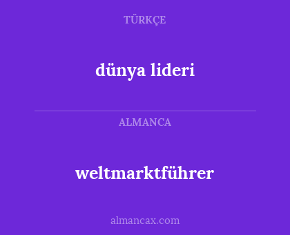 weltmarktführer - dünya lideri