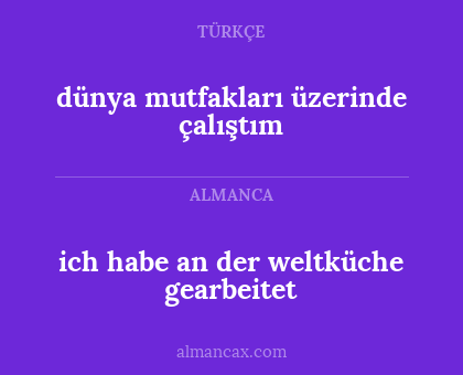 dünya mutfakları üzerinde çalıştım - ich habe an der weltküche gearbeitet