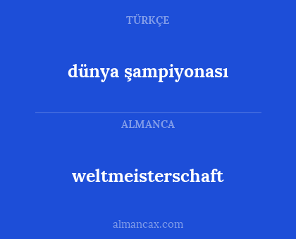weltmeisterschaft - dünya şampiyonası