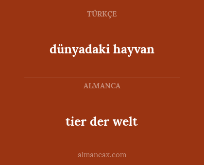 dünyadaki hayvan - tier der welt