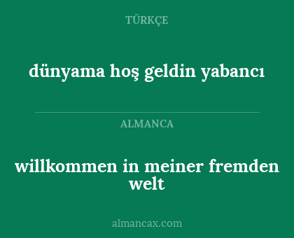 willkommen in meiner fremden welt - dünyama hoş geldin yabancı