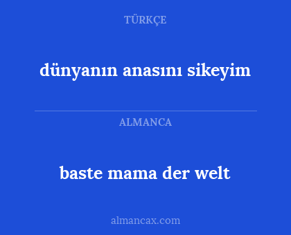 dünyanın anasını sikeyim - baste mama der welt