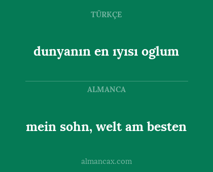mein sohn, welt am besten - dunyanın en ıyısı oglum