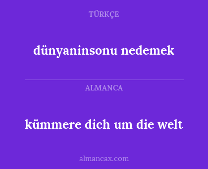 kümmere dich um die welt - dünyaninsonu nedemek