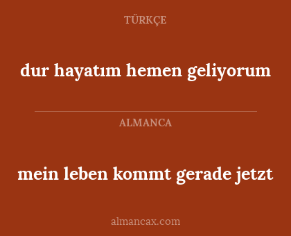 dur hayatım hemen geliyorum - mein leben kommt gerade jetzt