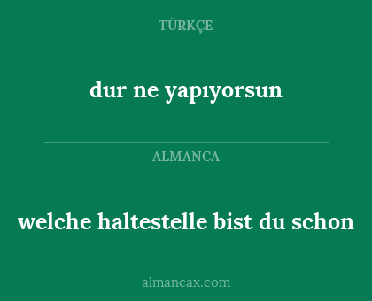 dur ne yapıyorsun - welche haltestelle bist du schon