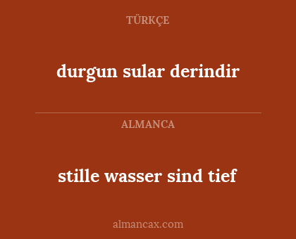 stille wasser sind tief - durgun sular derindir