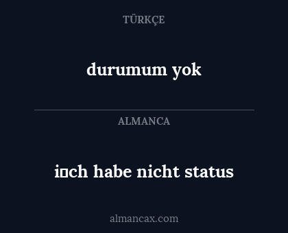 durumum yok - i̇ch habe nicht status