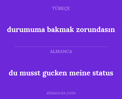 du musst gucken meine status - durumuma bakmak zorundasın