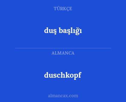 duschkopf - duş başlığı
