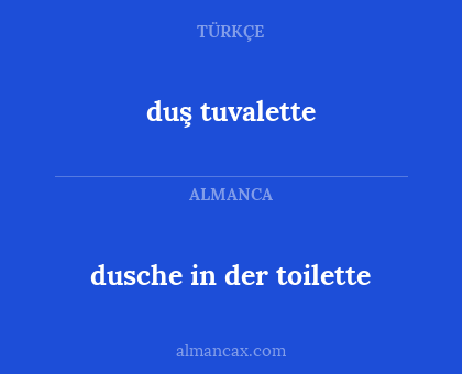 dusche in der toilette - duş tuvalette