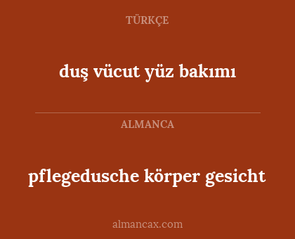 duş vücut yüz bakımı - pflegedusche körper gesicht