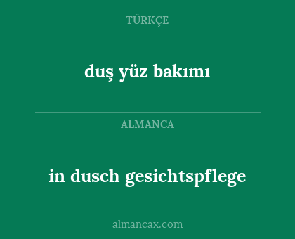 duş yüz bakımı - in dusch gesichtspflege