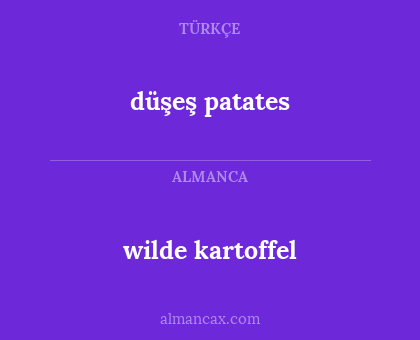 wilde kartoffel - düşeş patates