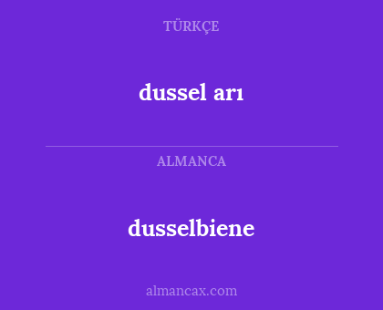 dusselbiene - dussel arı