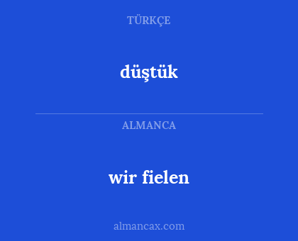 düştük - wir fielen