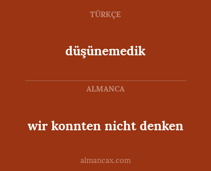 wir konnten nicht denken - düşünemedik