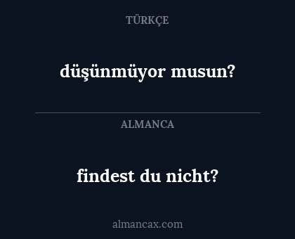 düşünmüyor musun? - findest du nicht?