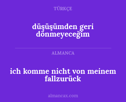 düşüşümden geri dönmeyeceğim - ich komme nicht von meinem fallzurück