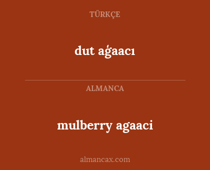 dut aģaacı - mulberry agaaci
