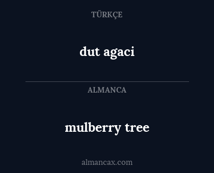 mulberry tree - dut agaci