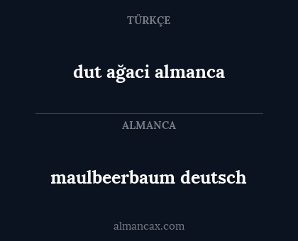 dut ağaci almanca - maulbeerbaum deutsch
