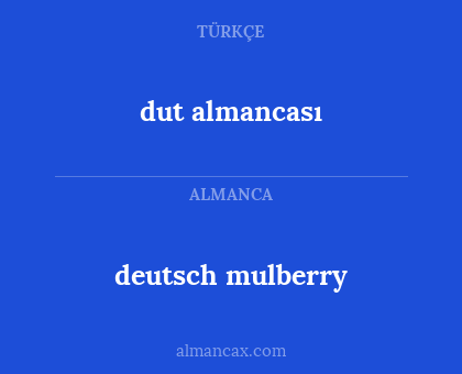dut almancası - deutsch mulberry