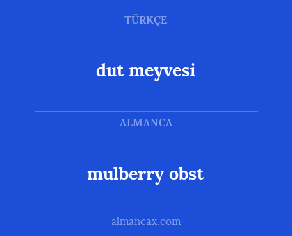 dut meyvesi - mulberry obst