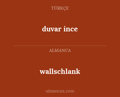 duvar ince - wallschlank