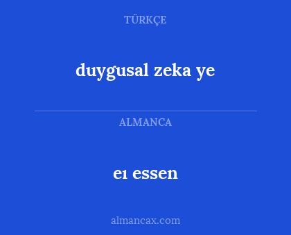 eı essen - duygusal zeka ye