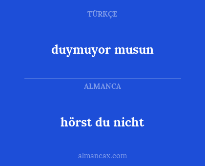 hörst du nicht - duymuyor musun
