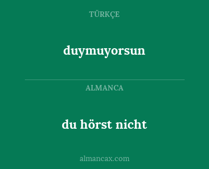 duymuyorsun - du hörst nicht