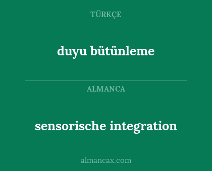 duyu bütünleme - sensorische integration