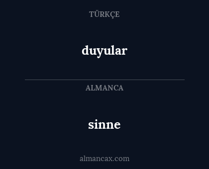duyular - sinne