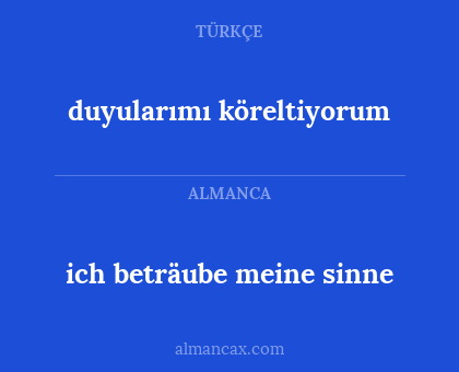 ich beträube meine sinne - duyularımı köreltiyorum